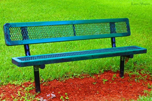 Copyright Kenn Shapiro, all rights reserved. May not be used, sold, or reproduced without written permission.