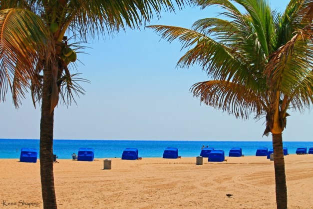 Copyright Kenn Shapiro, all rights reserved. May not be used, sold, or reproduced without written permission.