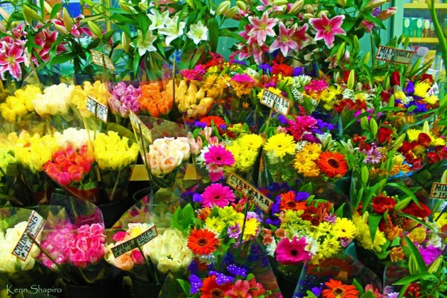 Copyright Kenn Shapiro, all rights reserved. May not be used, sold, or reproduced without written permission.