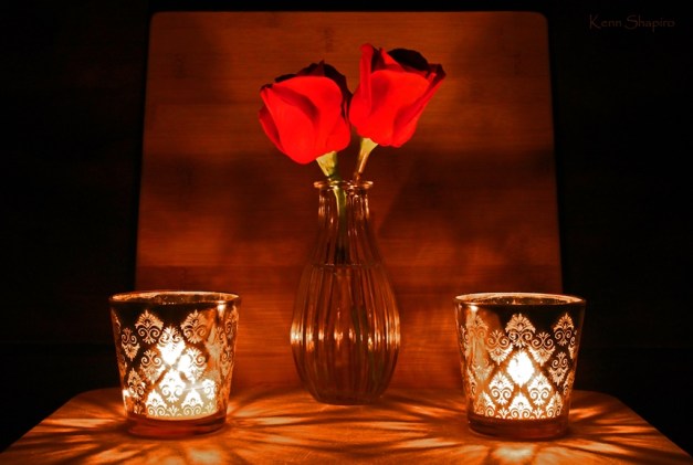 Copyright Kenn Shapiro, all rights reserved. May not be used, sold, or reproduced without written permission.