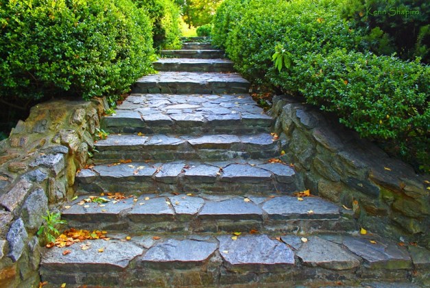 Copyright Kenn Shapiro, all rights reserved. May not be used, sold, or reproduced without written permission.