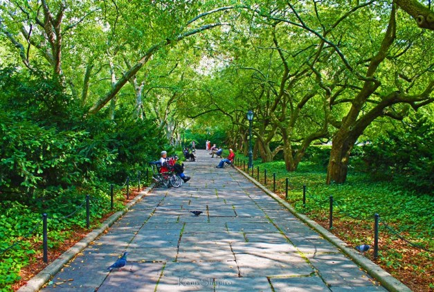 Copyright Kenn Shapiro, all rights reserved. May not be used, sold, or reproduced without written permission.