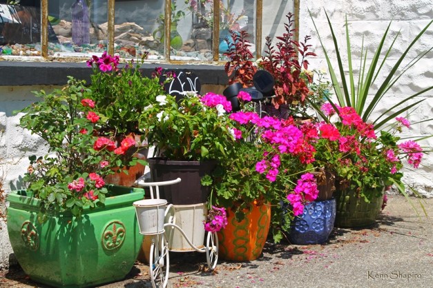 Copyright Kenn Shapiro, all rights reserved. May not be used, sold, or reproduced without written permission.