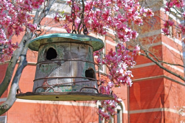 Copyright Kenn Shapiro, all rights reserved. May not be used, sold, or reproduced without written permission.